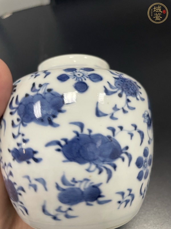 古玩陶瓷青花花鳥紋茶葉罐真品鑒賞圖