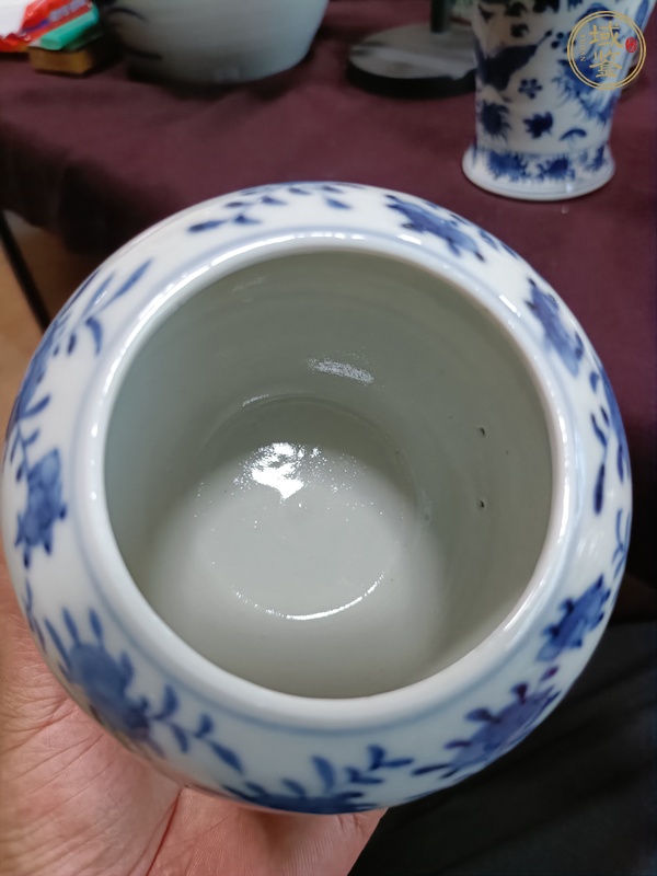 古玩陶瓷花鳥紋罐真品鑒賞圖