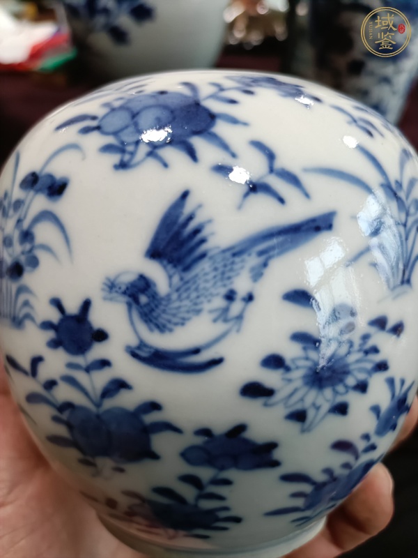 古玩陶瓷花鳥紋罐真品鑒賞圖