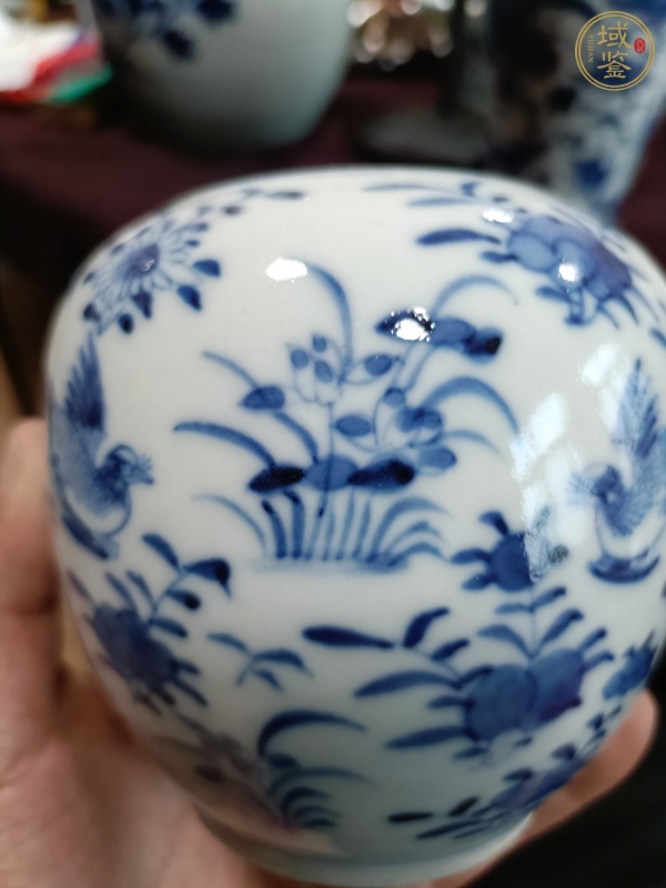 古玩陶瓷花鳥紋罐真品鑒賞圖