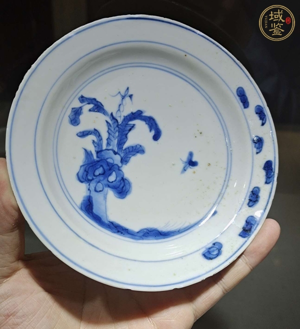 古玩陶瓷青花花蝶紋折沿盤真品鑒賞圖