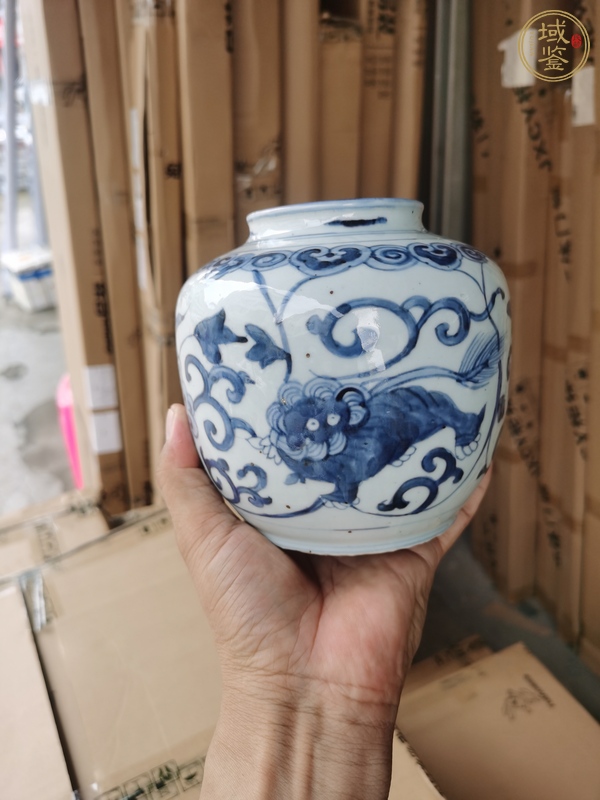 古玩陶瓷花間獅子紋青花罐真品鑒賞圖