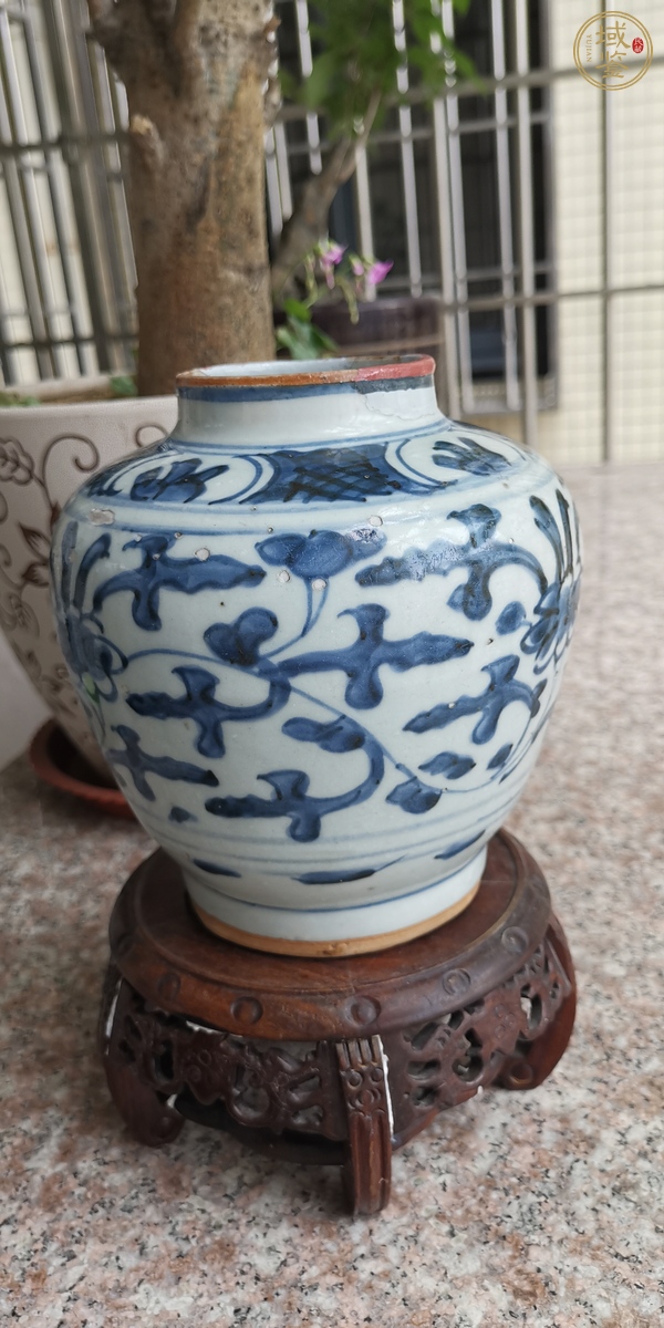 古玩陶瓷青花罐真品鑒賞圖