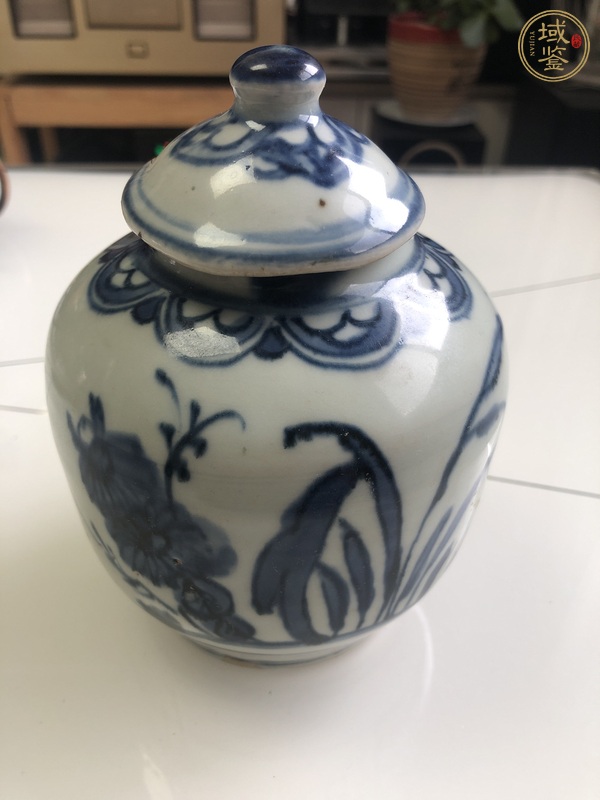 古玩陶瓷青花蓋罐真品鑒賞圖