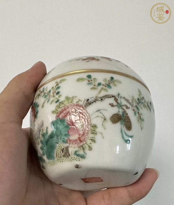 古玩陶瓷粉彩蓋缸真品鑒賞圖