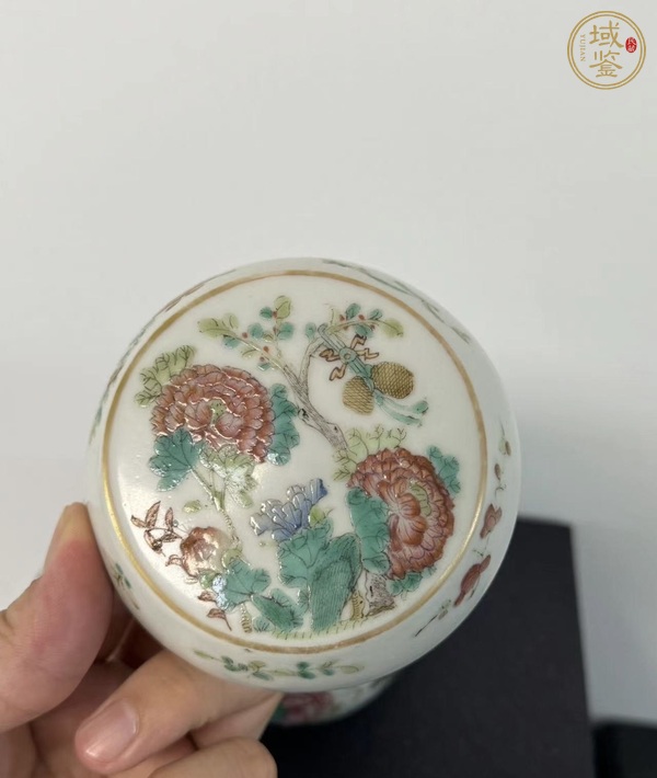 古玩陶瓷粉彩蓋缸真品鑒賞圖