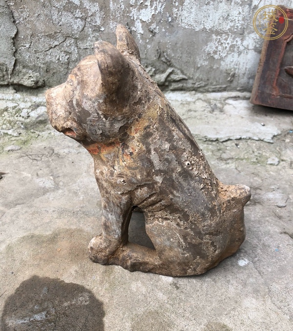 古玩陶瓷陶犬真品鑒賞圖