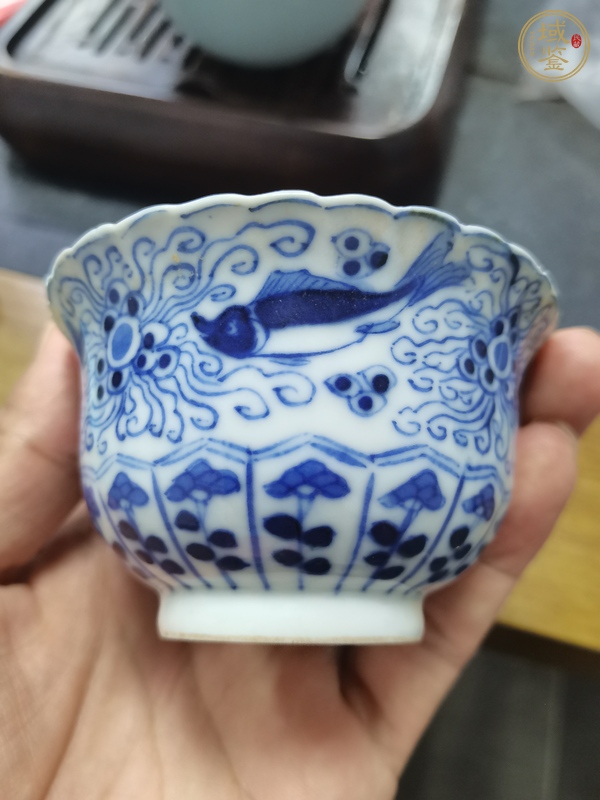 古玩陶瓷青花魚(yú)藻紋花口杯真品鑒賞圖