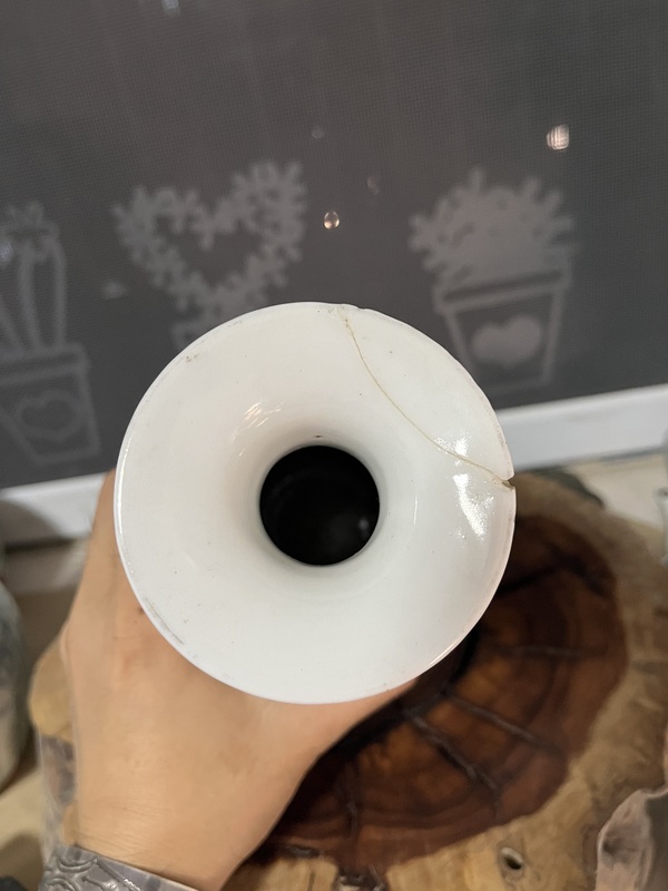 古玩陶瓷晚清名家淺降彩花鳥紋瓶拍賣,當(dāng)前價(jià)格599元
