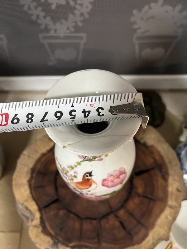 古玩陶瓷晚清名家淺降彩花鳥紋瓶拍賣,當(dāng)前價(jià)格599元