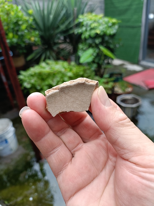 古玩陶瓷南宋龍泉官冰片紋標本拍賣,當前價格298元
