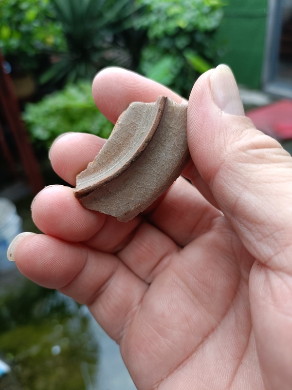 古玩陶瓷南宋龍泉官冰片紋標本拍賣,當前價格298元