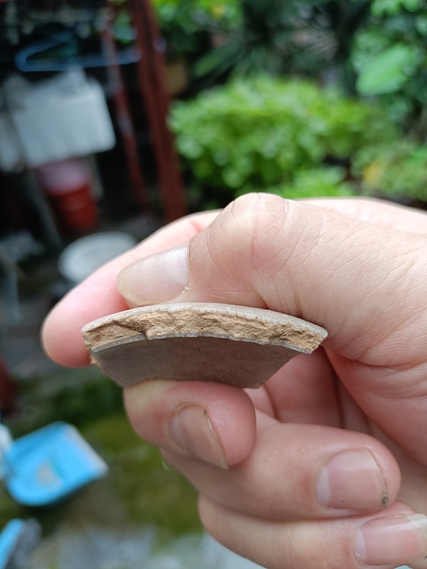 古玩陶瓷南宋龍泉官冰片紋標本拍賣,當前價格298元