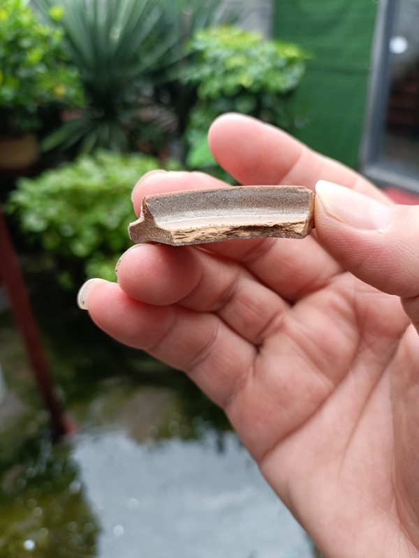 古玩陶瓷南宋龍泉官冰片紋標本拍賣,當前價格298元
