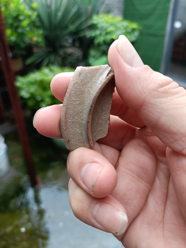 古玩陶瓷南宋龍泉官冰片紋標本拍賣,當前價格298元