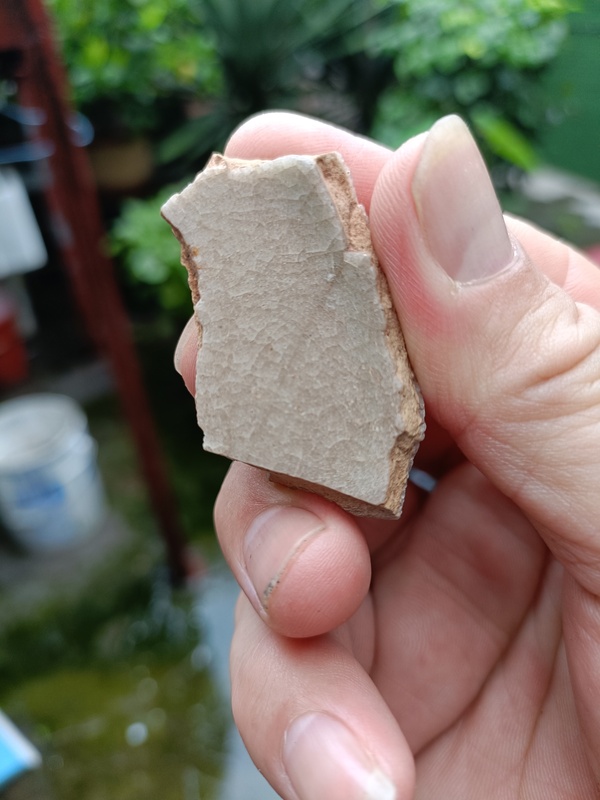 古玩陶瓷南宋龍泉官冰片紋標本拍賣,當前價格298元