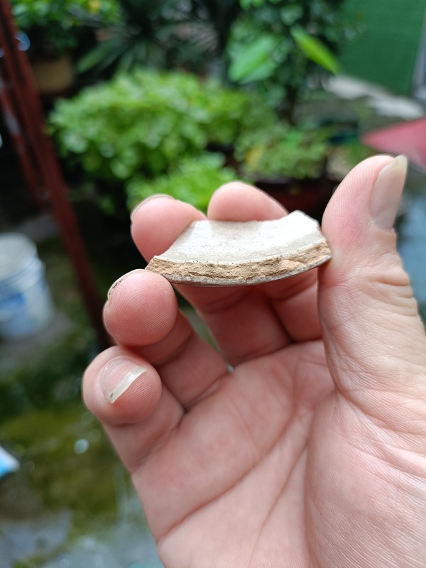 古玩陶瓷南宋龍泉官冰片紋標本拍賣,當前價格298元