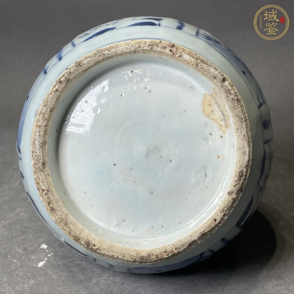 古玩陶瓷青花海馬紋膽式瓶真品鑒賞圖