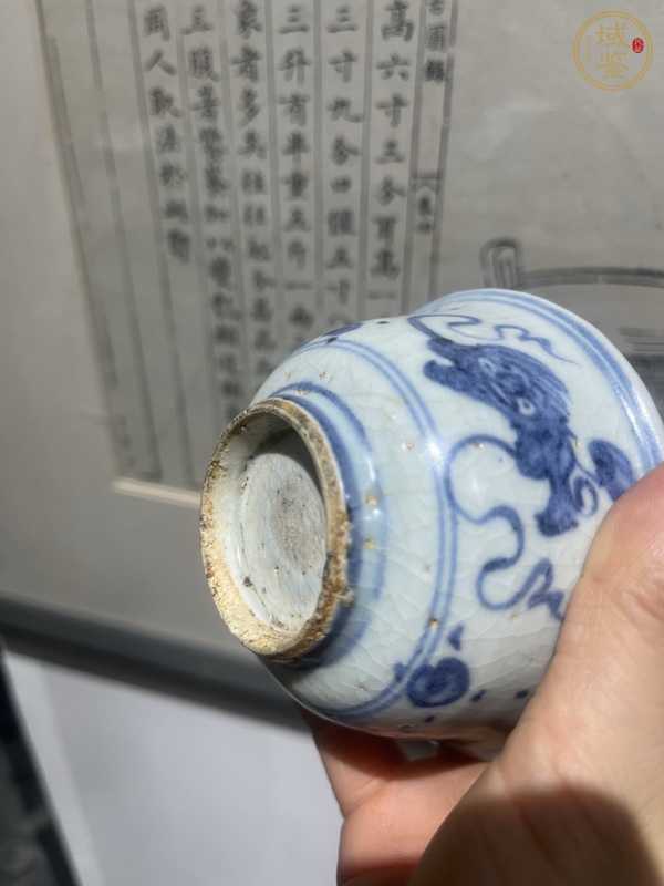 古玩陶瓷青花獅紋撇口杯真品鑒賞圖