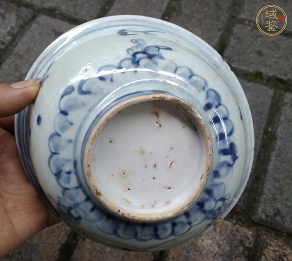 古玩陶瓷青花翼龍紋茶碗真品鑒賞圖