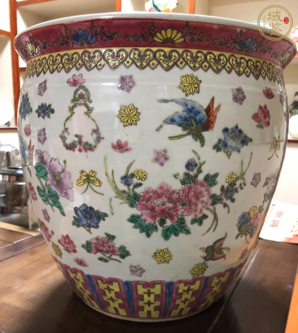 古玩陶瓷粉彩龍穿花紋畫(huà)缸真品鑒賞圖