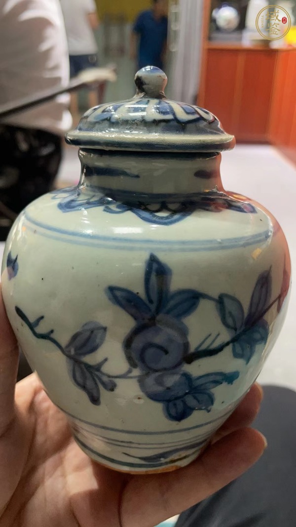 古玩陶瓷明中期 青花花卉罐真品鑒賞圖