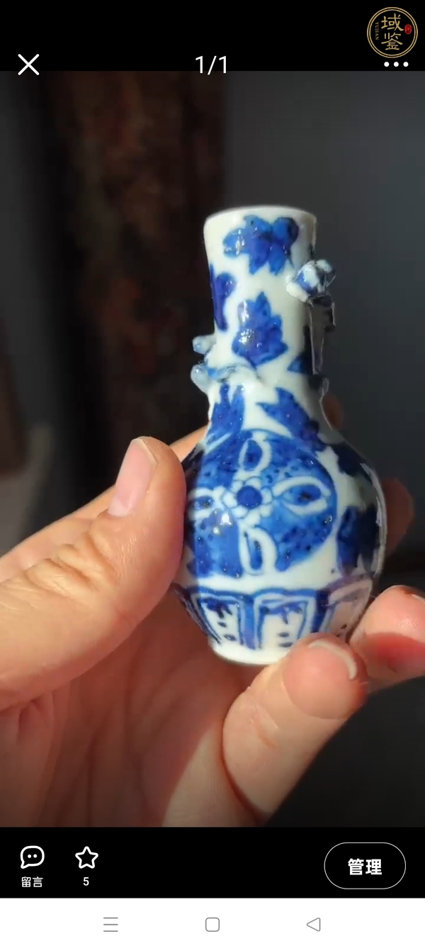 古玩陶瓷青花花卉紋帶龍紋瓶真品鑒賞圖