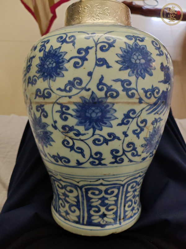 古玩陶瓷鳳紋青花瓶真品鑒賞圖