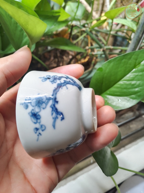 古玩陶瓷清康熙 青花梅花紋小杯真品鑒賞圖