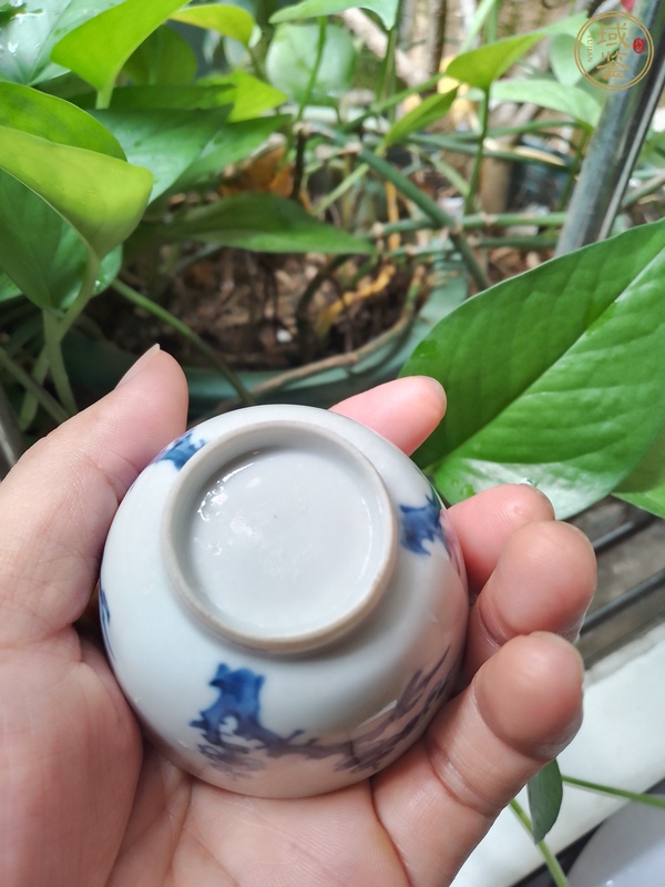 古玩陶瓷清康熙 青花梅花紋小杯真品鑒賞圖