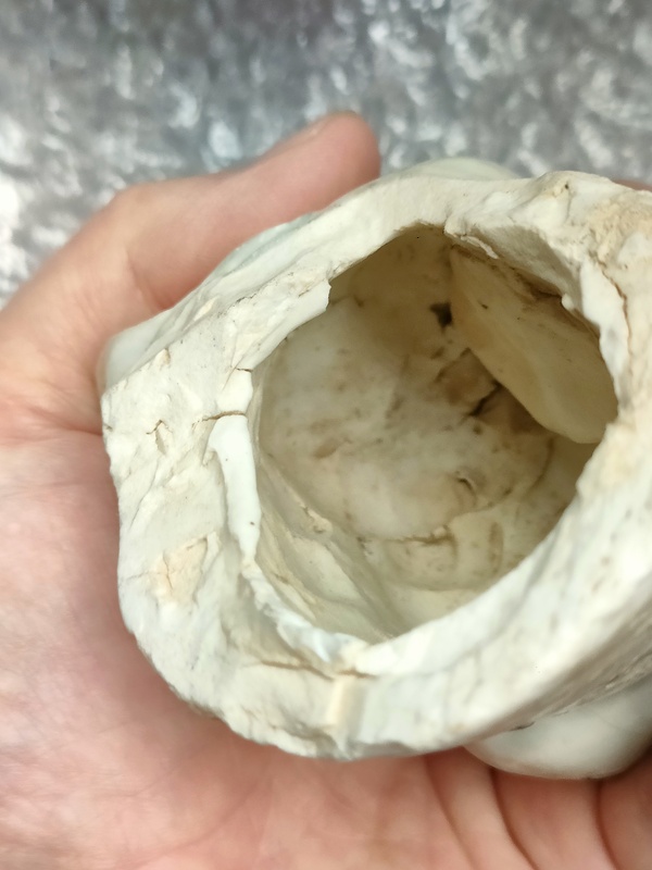 古玩陶瓷景德鎮(zhèn)青白釉獅子頭標(biāo)本(湖田窯瓷塑)拍賣，當(dāng)前價(jià)格800元