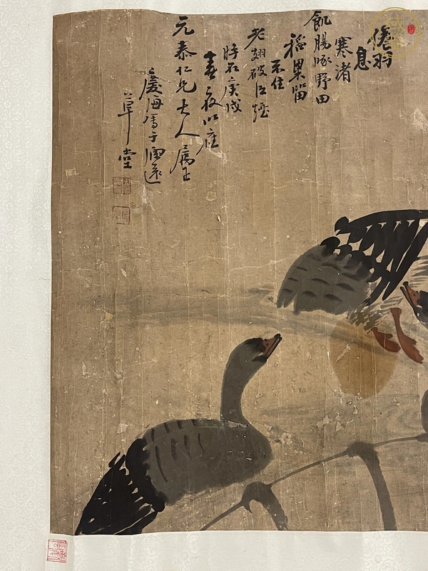 古玩字畫蘆雁圖真品鑒賞圖