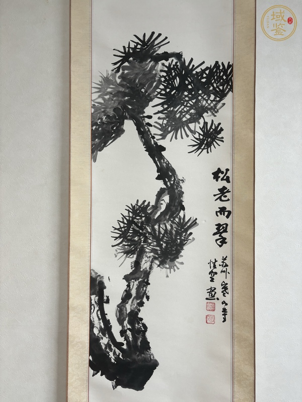 古玩字畫松老而翠真品鑒賞圖