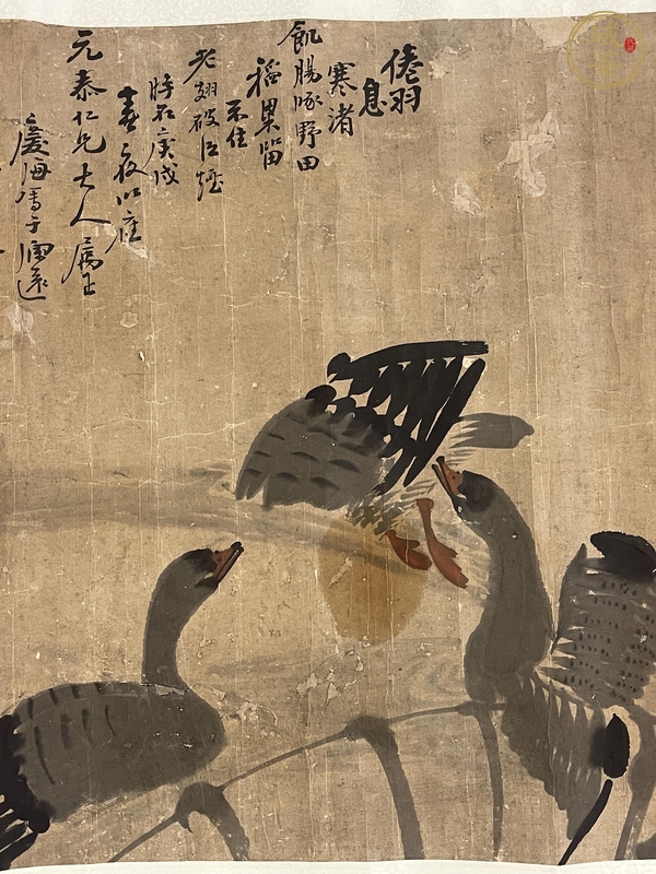 古玩字畫蘆雁圖真品鑒賞圖