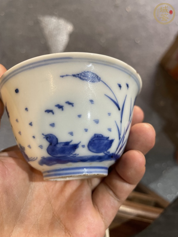 古玩陶瓷清早期青花蘆雁圖杯真品鑒賞圖