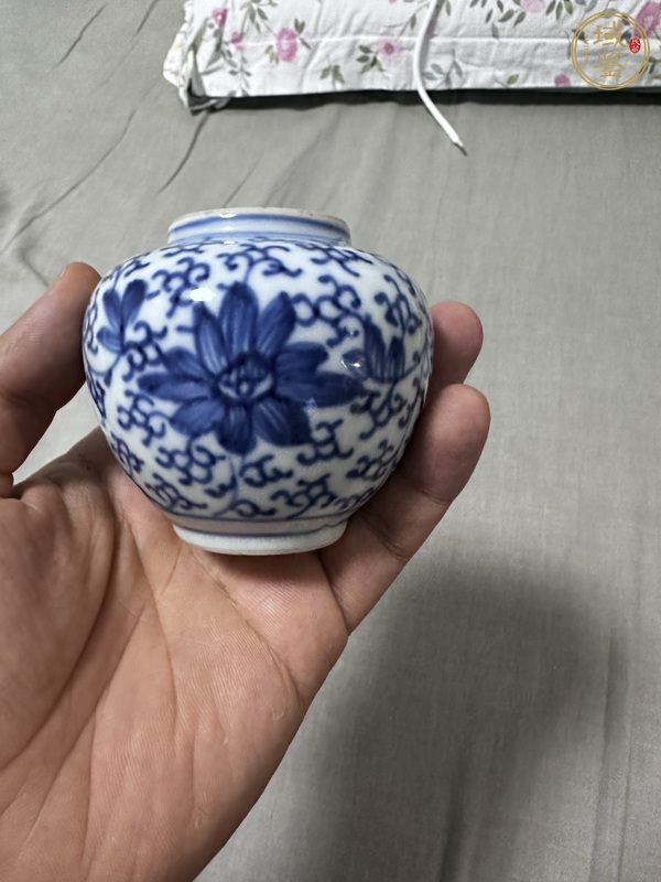 古玩陶瓷花卉紋青花水盂真品鑒賞圖