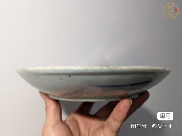 古玩陶瓷清中晚期青花釉里紅魚盤真品鑒賞圖