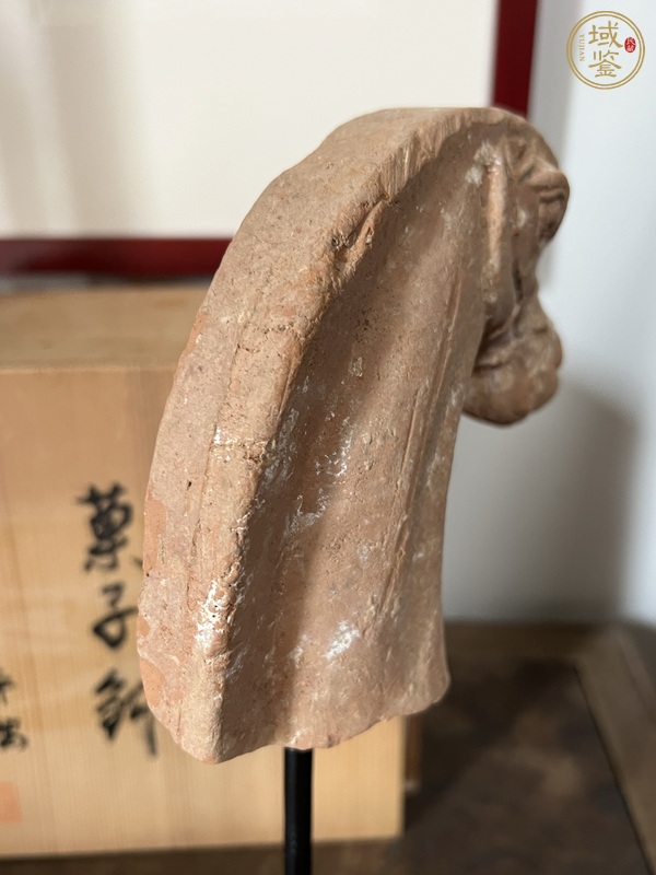 古玩陶瓷紅陶馬首真品鑒賞圖