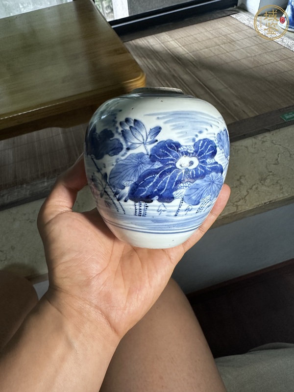 古玩陶瓷荷塘清趣圖青花罐真品鑒賞圖