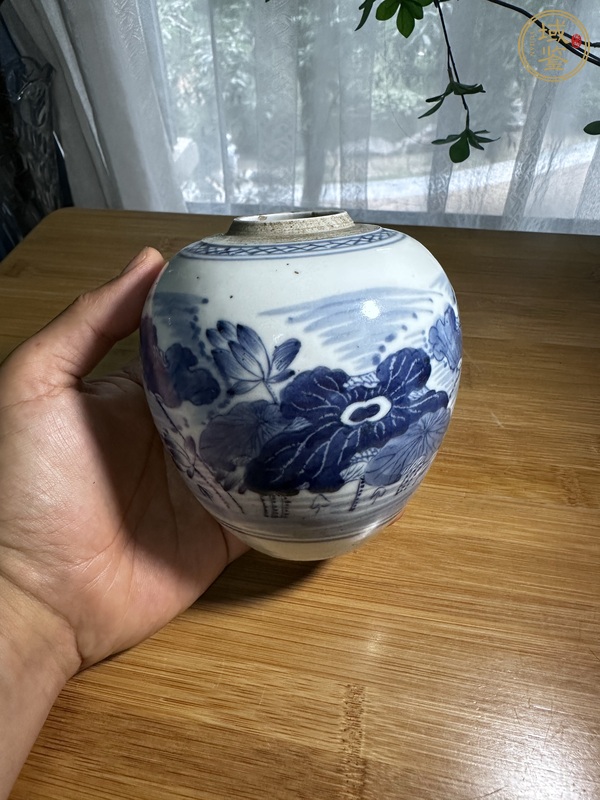 古玩陶瓷荷塘清趣圖青花罐真品鑒賞圖