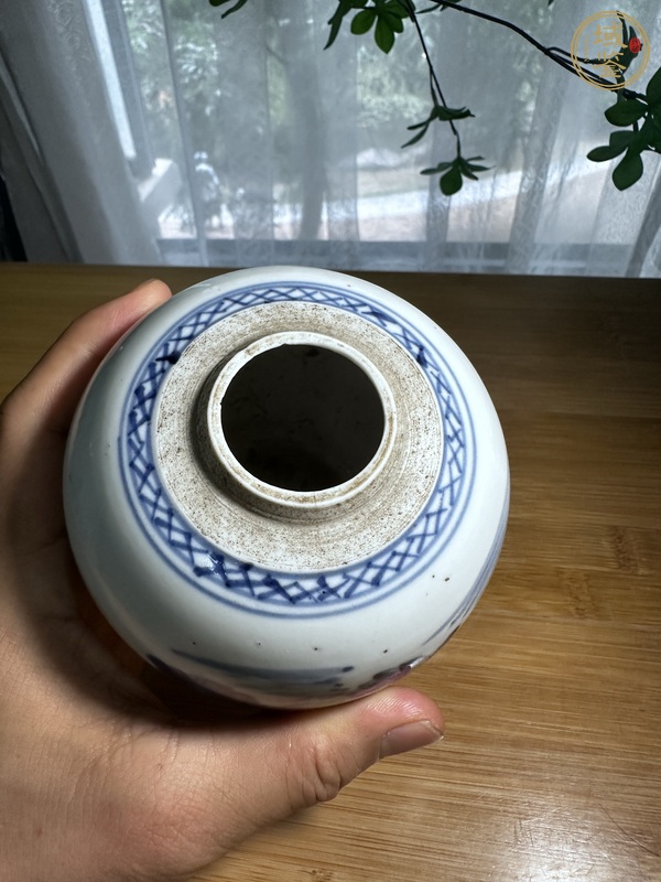 古玩陶瓷荷塘清趣圖青花罐真品鑒賞圖