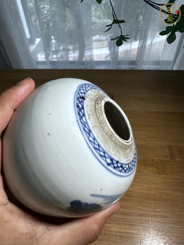 古玩陶瓷荷塘清趣圖青花罐真品鑒賞圖