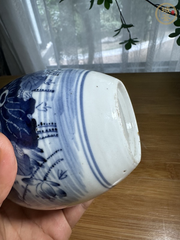 古玩陶瓷荷塘清趣圖青花罐真品鑒賞圖