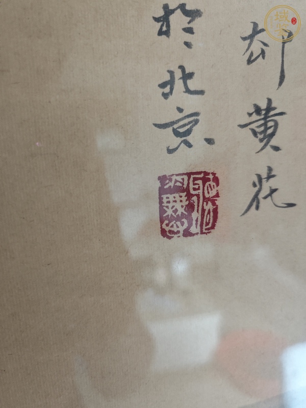 古玩字畫(huà)除卻黃花誰(shuí)識(shí)我真品鑒賞圖