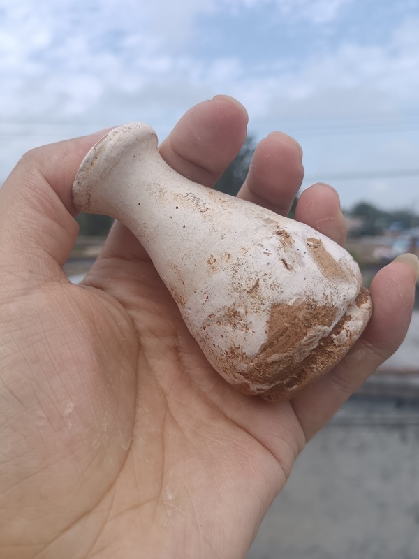 古玩陶瓷元代~白釉玉壺春瓶拍賣,當前價格0元