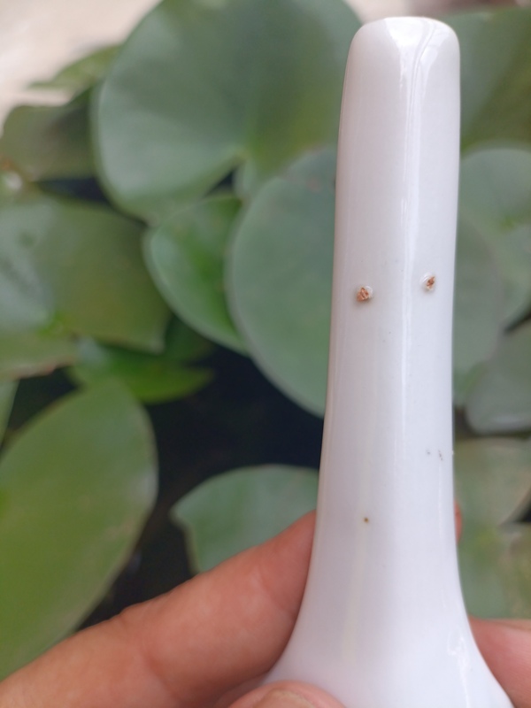 古玩陶瓷粉彩花卉壽字勺拍賣,當前價格300元