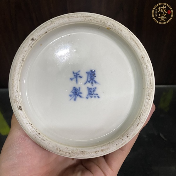 古玩陶瓷冰梅開(kāi)窗花卉紋瓶真品鑒賞圖