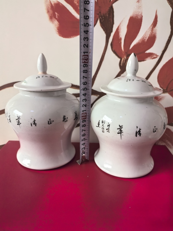 古玩陶瓷仕女紋粉彩將軍罐拍賣(mài)，當(dāng)前價(jià)格4500元