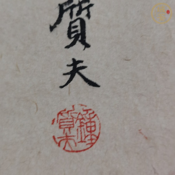 古玩字畫花鳥真品鑒賞圖