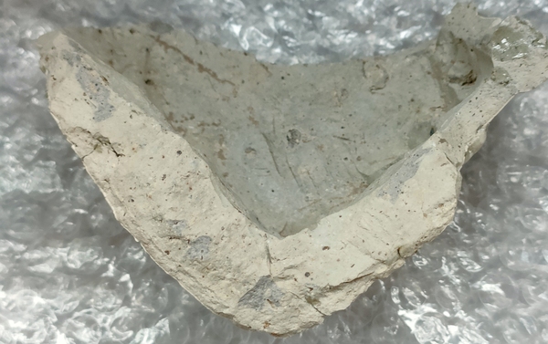 古玩陶瓷金代定窯系標(biāo)本拍賣，當(dāng)前價格500元